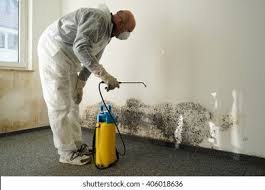 Professional Mold Remediation in Westlake Corner, VA